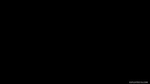 46491