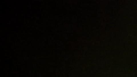 44464