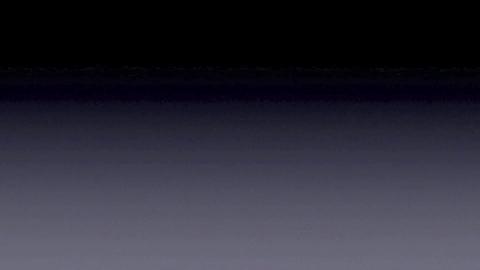20776